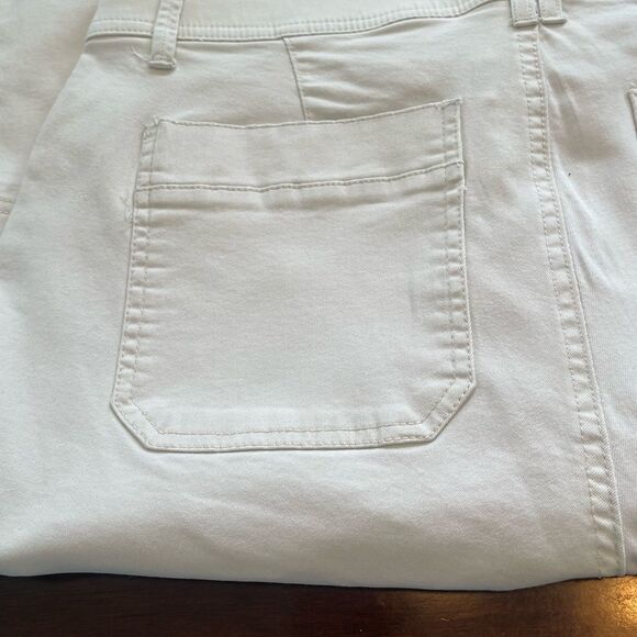 Democracy Carpenter Utility Pants AD Technology - Picture 9 of 12